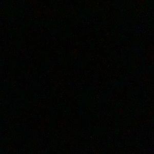 Meet your Posher, Dani